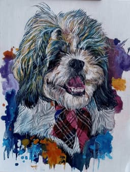 ShihTzu