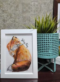 1 Tailed Fox