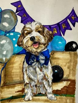 Bday dog